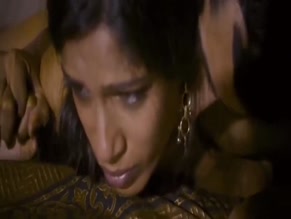 Freida Pinto in Trishna