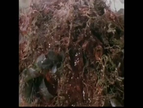 Delphine Pacific in Alien Files
