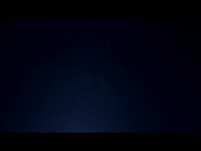 Euplea