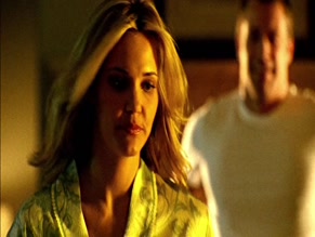 Leslie Bibb