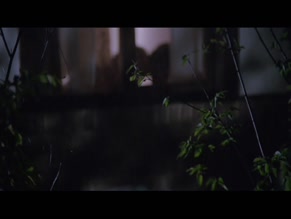 Joanna Cassidy in The Fourth Protocol
