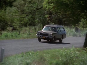 Sandra Peabody in Teenage Hitchhikers