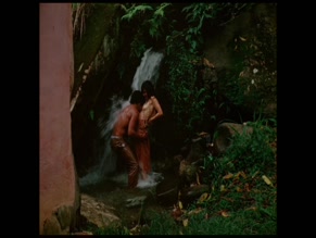 Sonia Braga in Lady On The Bus