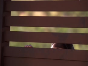 Cassie Scerbo in Make It Or Break It