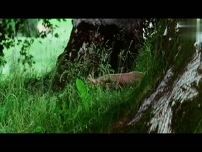 Preity Zinta in Salaam Namaste
