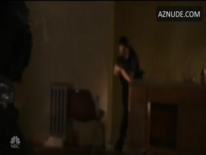Amanda Raudabaugh in Chicago P.d.