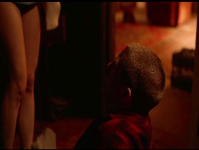 Arta Dobroshi in Stray