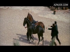 Barbara Sukowa in The Sicilian