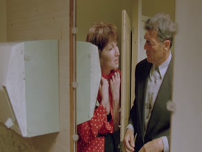 Joanna Gleason in American Perfekt
