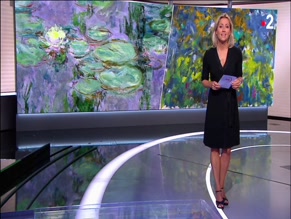 Anne-sophie Lapix in Journal De 20 Heures