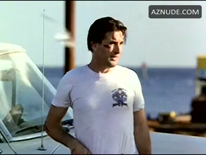 Cindy Crawford in Fair Game