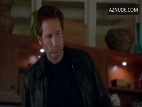Diana Terranova in Californication
