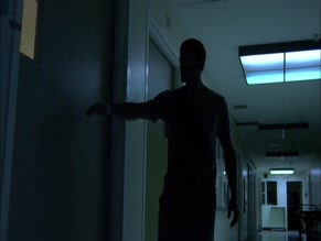 Lisa Arturo in Insanitarium