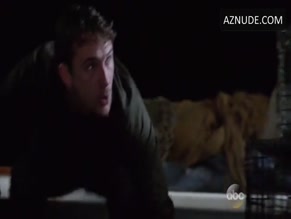 Emily Vancamp in Revenge