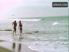 Emily Vancamp in Revenge