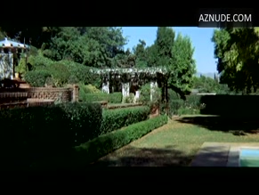 Faye Dunaway in The Arrangement