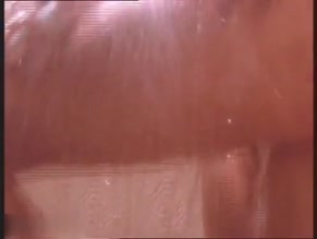 Wendy Hamilton in Midnight Temptations