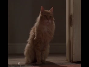Veronica Hart in Six Feet Under