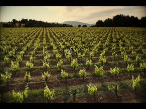 Gabriela Andrada in Heirs To The Land