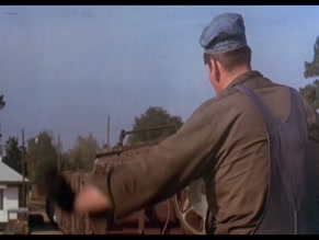 Barbara Hershey in Boxcar Bertha