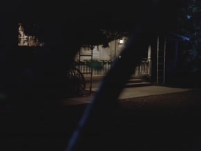 Laura Harring in Silent Night, Deadly Night 3