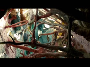Kristen Stewart in Into The Wild