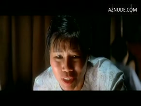 Hiep Thi Le in Heaven AND Earth