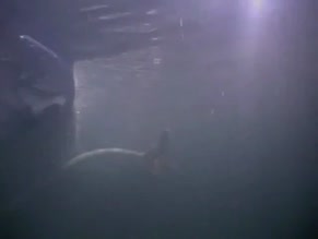 Angelica Bridges in Baywatch