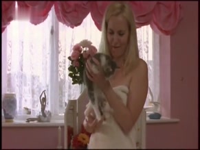 Debra Stephenson in Playing The Field