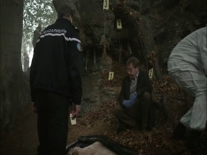 The Forest