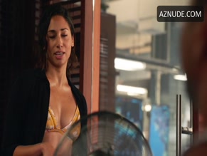 Meaghan Rath in Hawaii Five-0