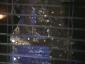 Nikki Fritz in Indecent Behavior Ii