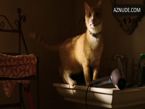 Parisa Fitz-henley in Midnight, Texas