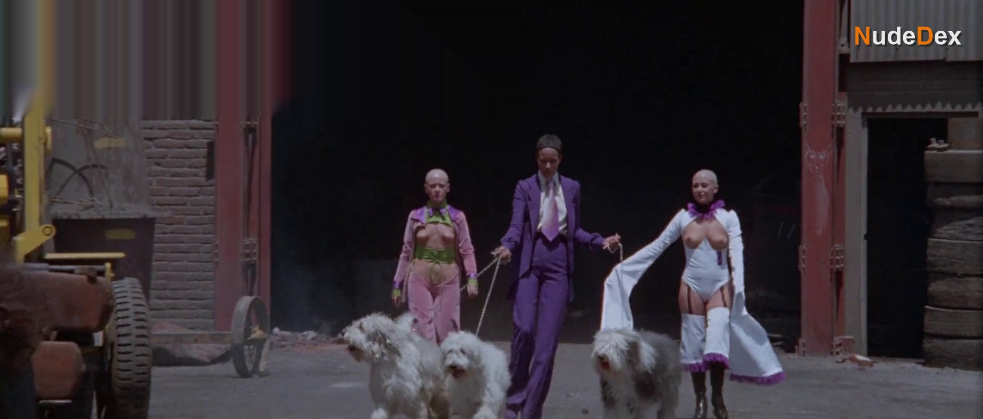 Adriana Page in The Holy Mountain, photo 5
