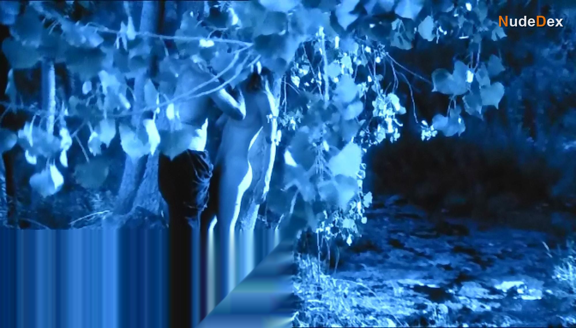 Way Of The Vampire in Way Of The Vampire, photo 1