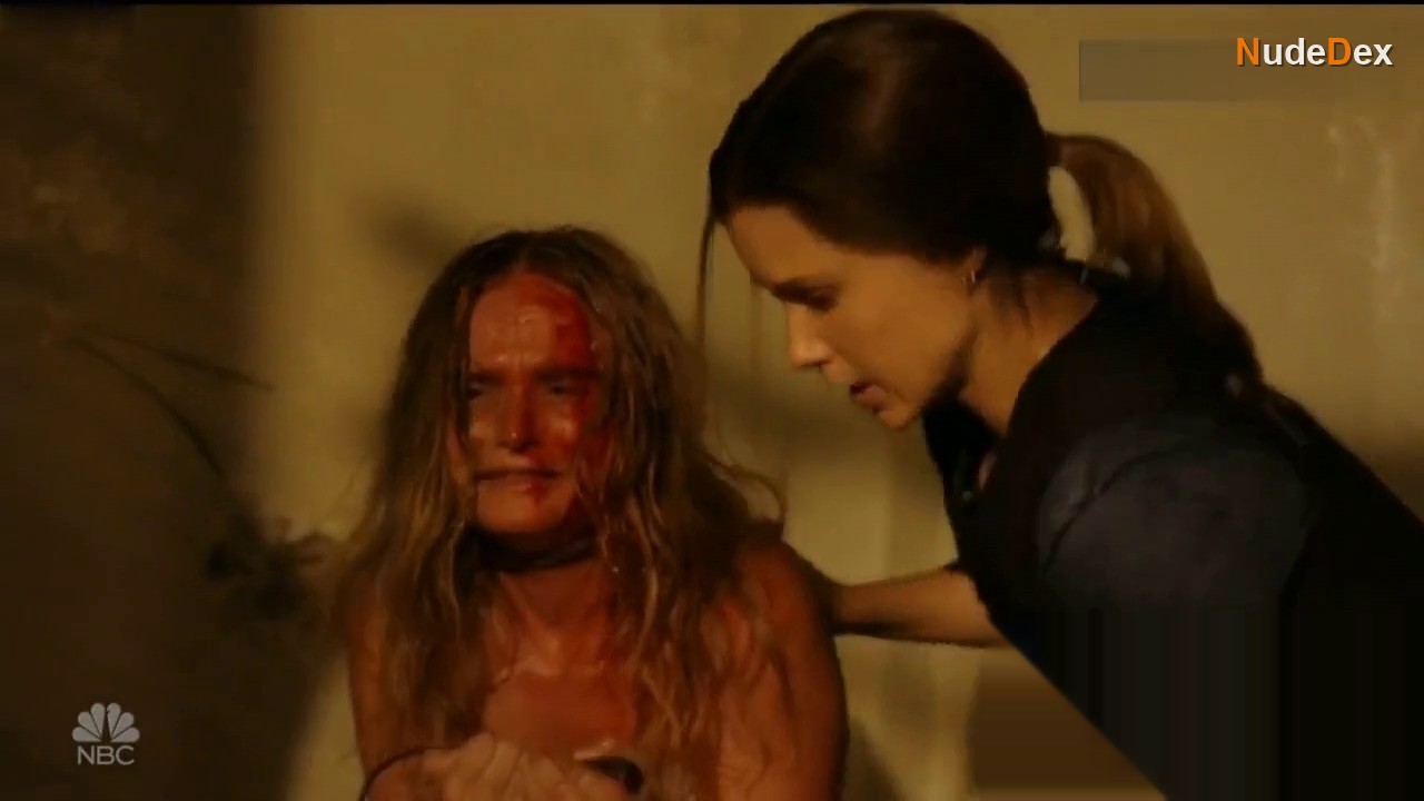 Amanda Rhodes in Chicago P.d., photo 1