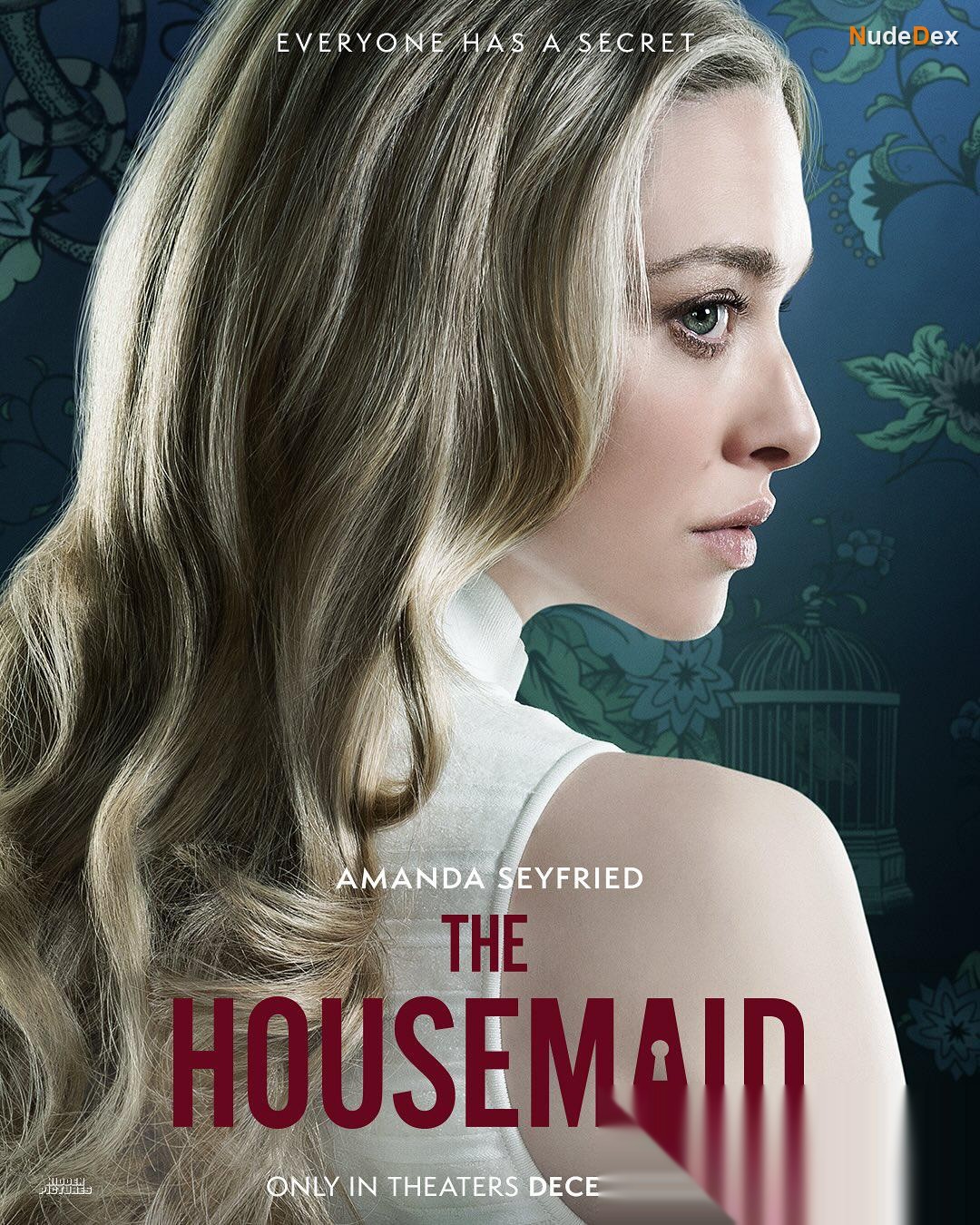 The Housemaid in The Housemaid, photo 12