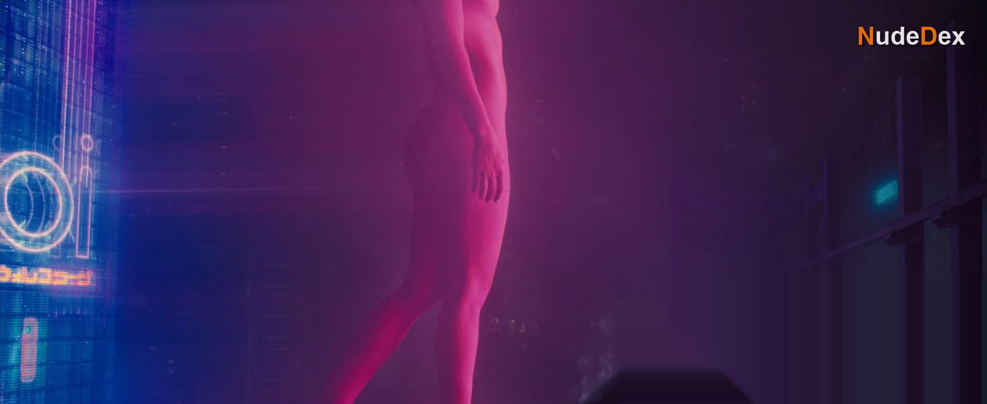 Blade Runner in Blade Runner, photo 5