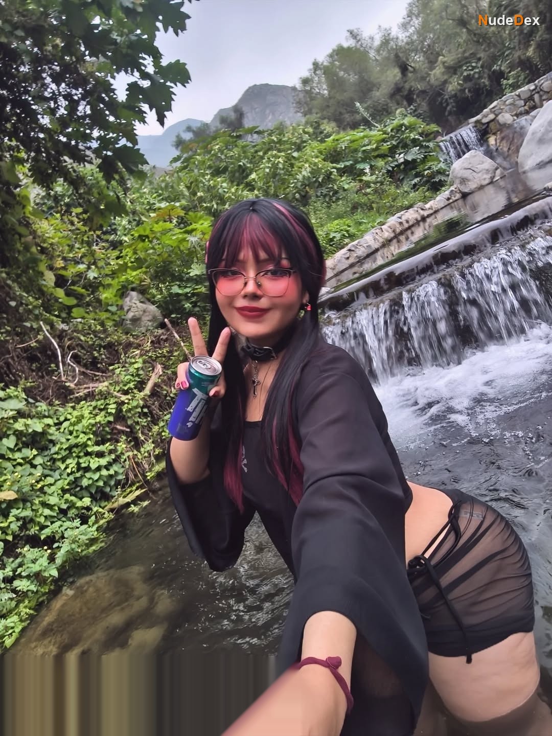 Angiecornio in Selva Peru, photo 8