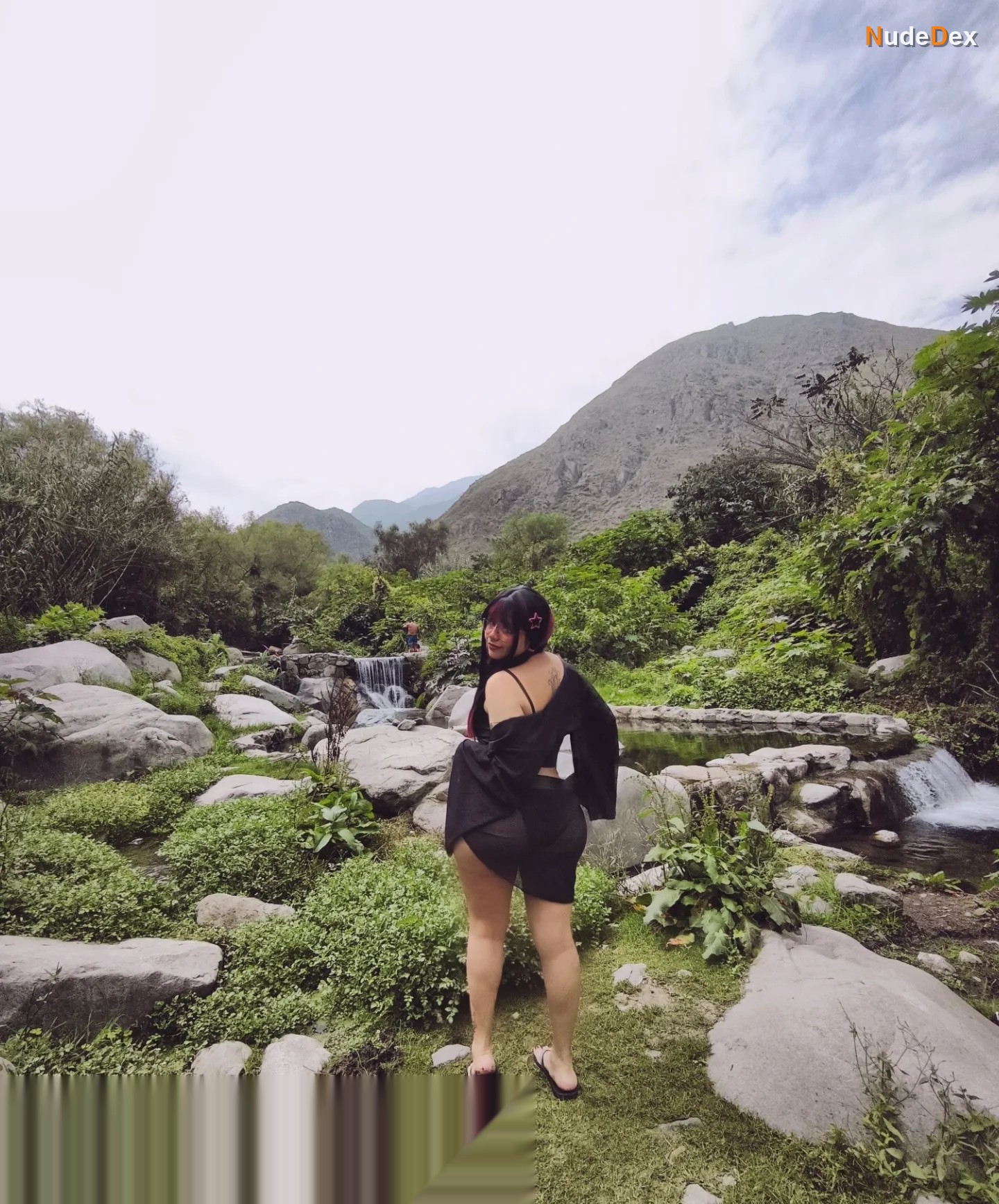 Angiecornio in Selva Peru, photo 12