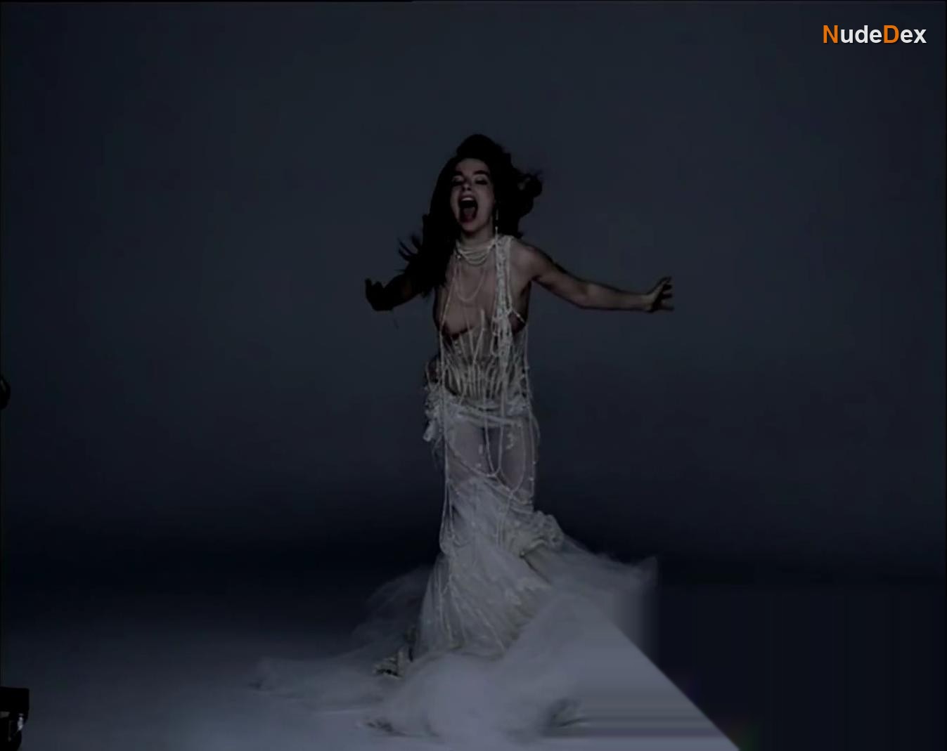 Bjork in Pagan Poetry, photo 5