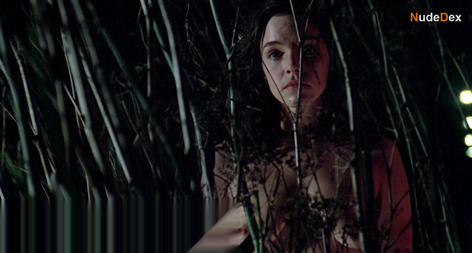 Brooke Adams in Invasion Of The Body Snatchers, photo 8