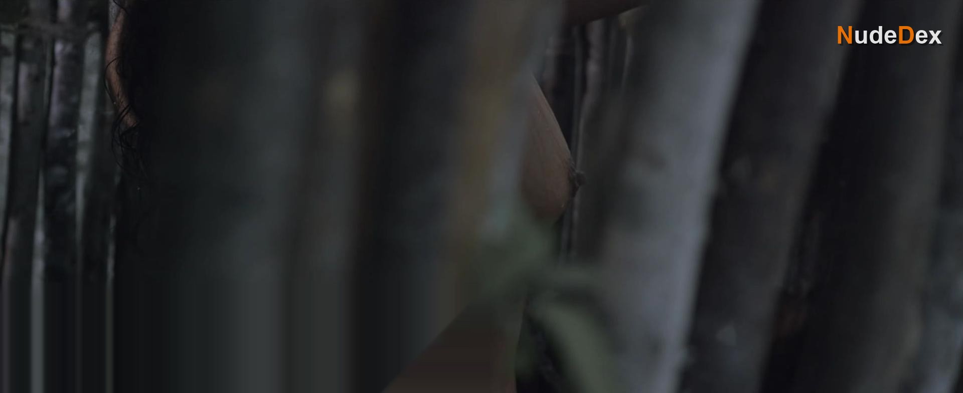 Daniela Bueno in The Whistler Origins, photo 1