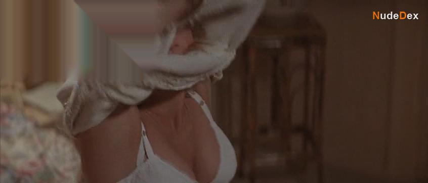 Daryl Hannah in Memoirs Of An Invisible Man, photo 2