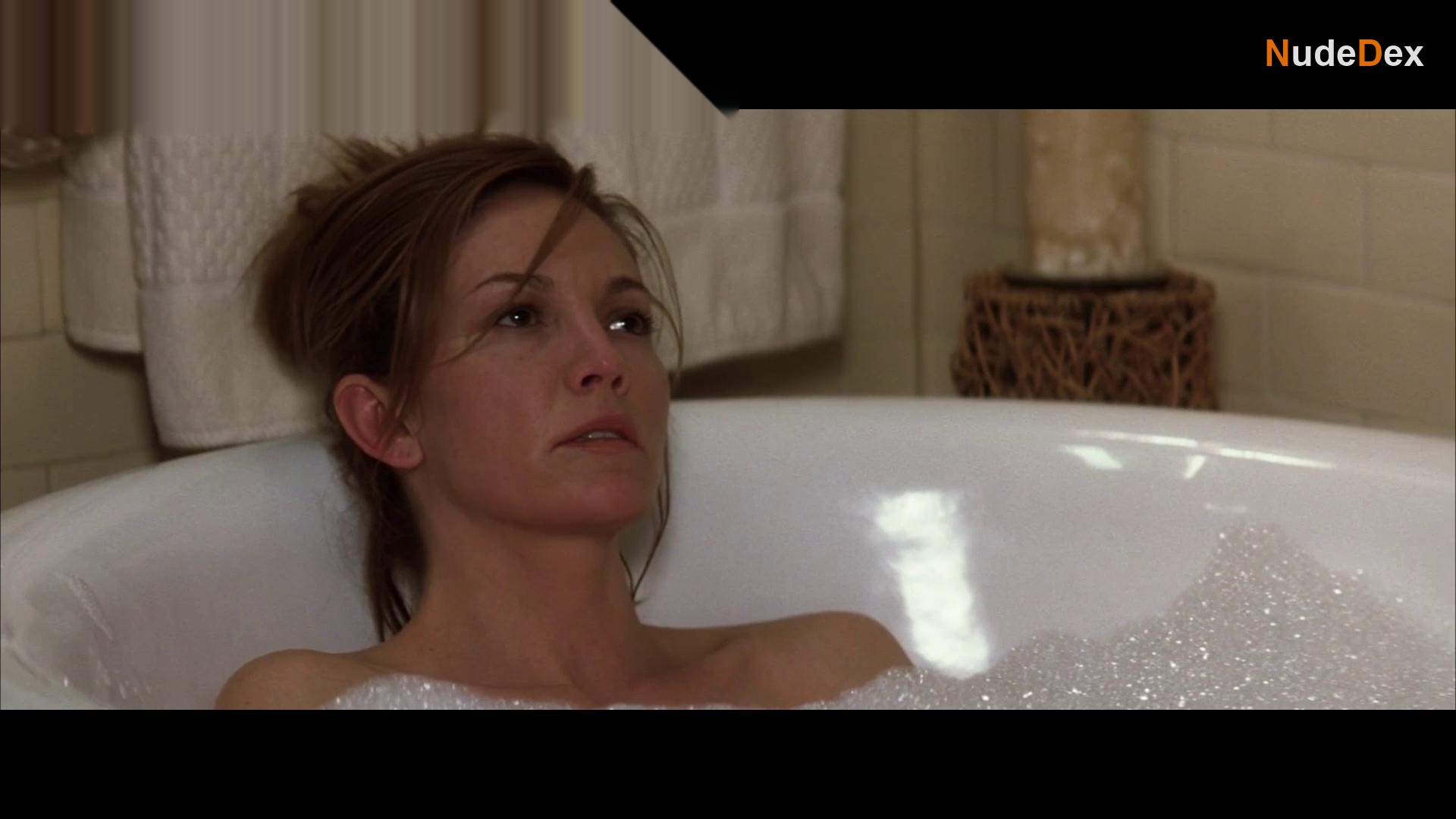 Diane Lane in Must Love Dogs, photo 3