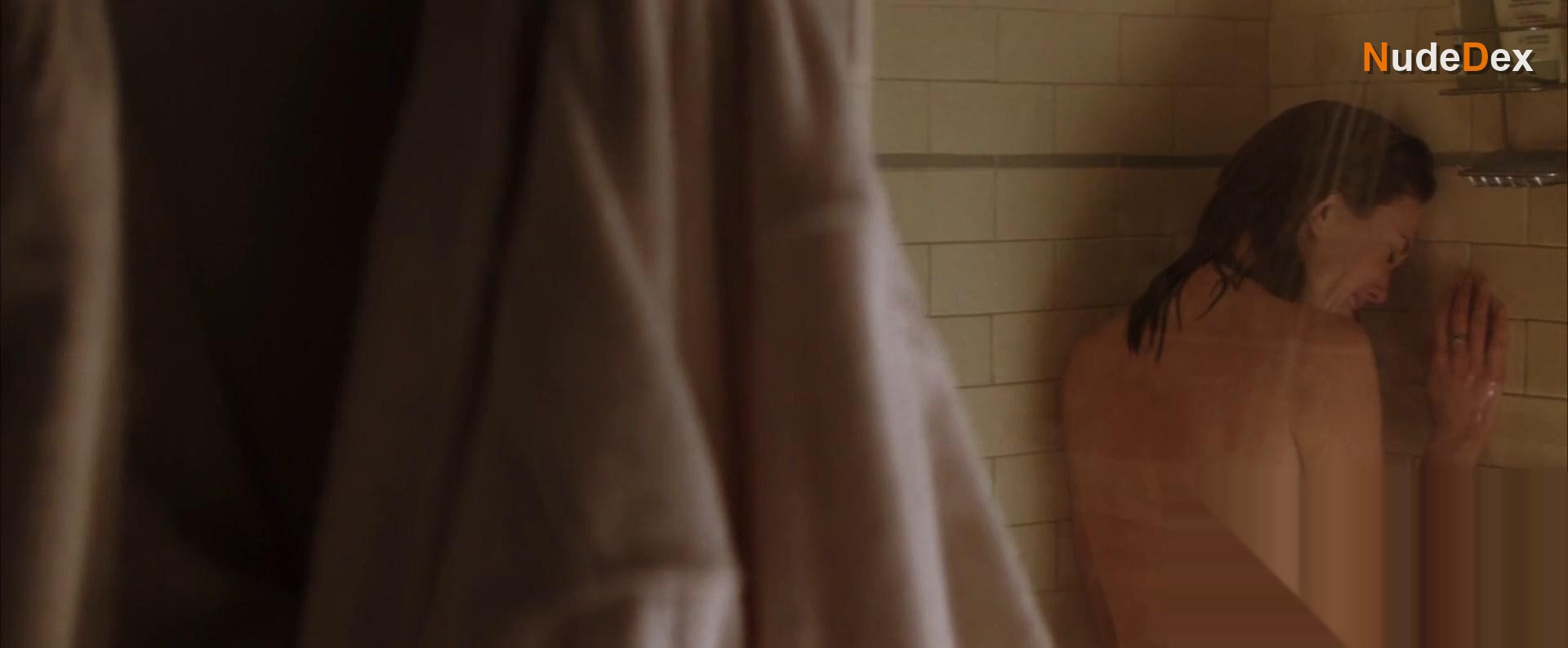 Diane Lane in Must Love Dogs, photo 8