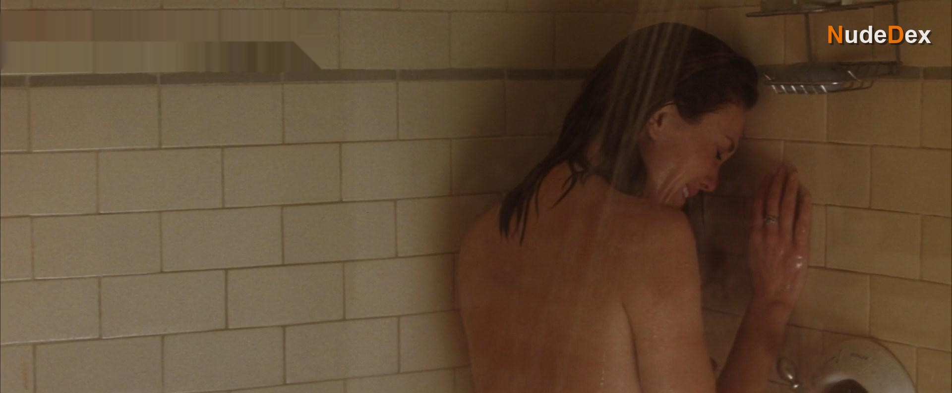 Diane Lane in Must Love Dogs, photo 9