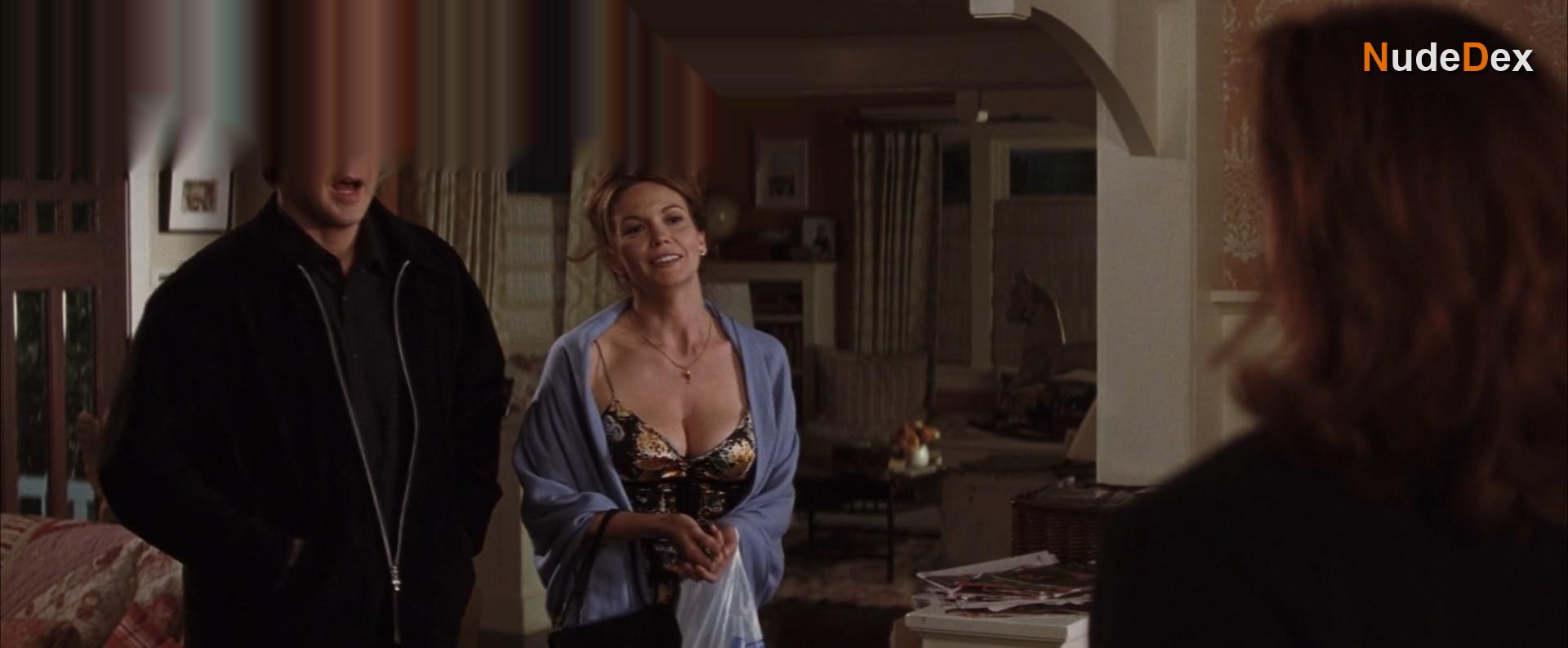 Diane Lane in Must Love Dogs, photo 12