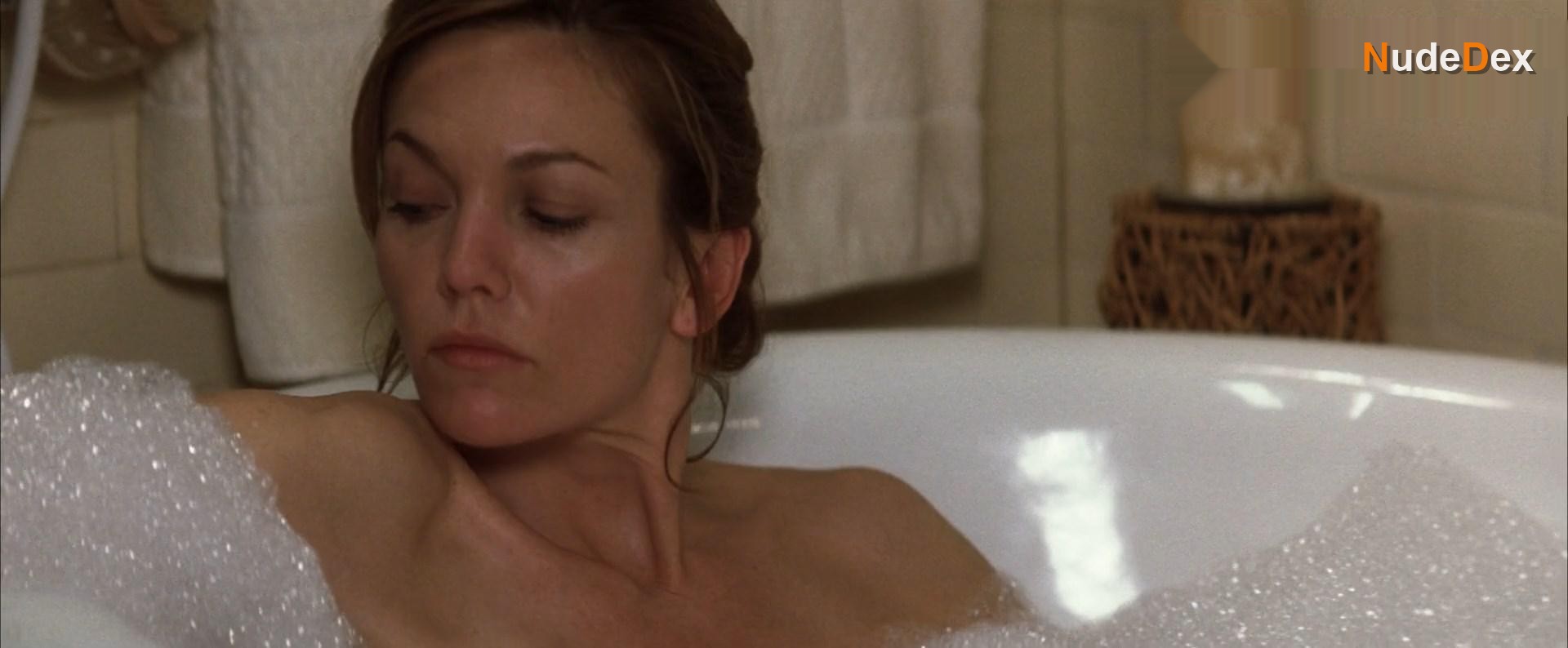 Diane Lane in Must Love Dogs, photo 14