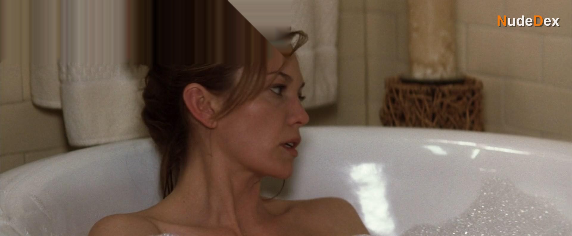 Diane Lane in Must Love Dogs, photo 15